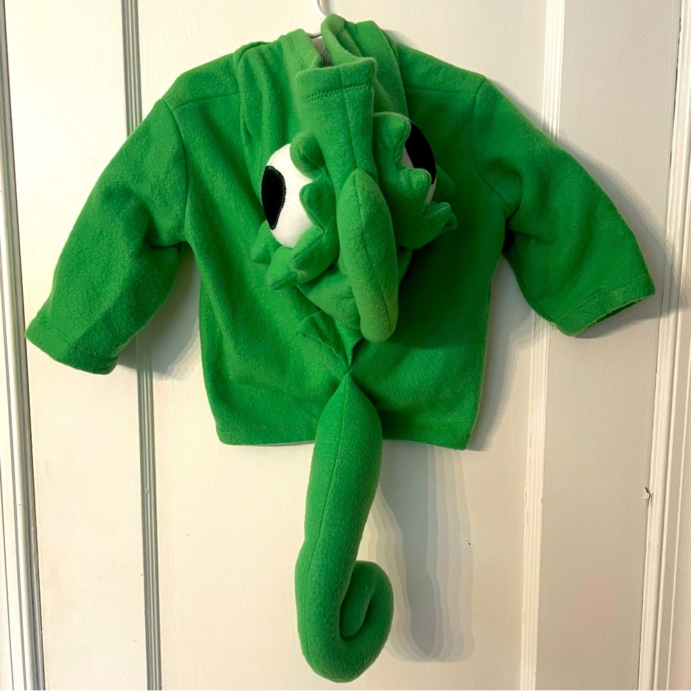 Tangled Pascal lizard jacket costume 2T - 3T